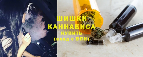 твердый Мегион