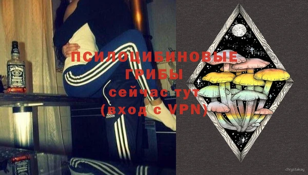 мескалин Медвежьегорск
