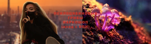 твердый Мегион