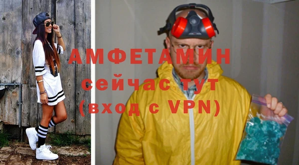 твердый Мегион