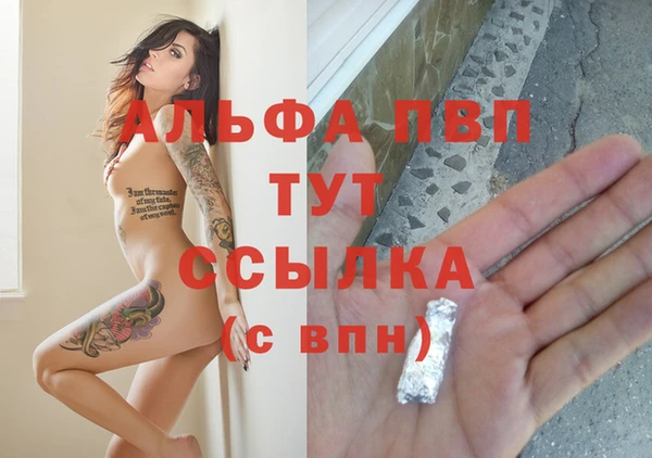 твердый Мегион