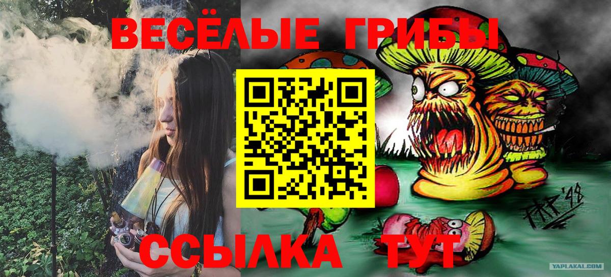 Галлюциногенные грибы GOLDEN TEACHER  купить закладку  Димитровград  Вход с VPN 